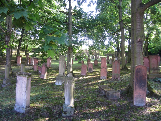 Alter Jüdischer Friedhof Mainz 1