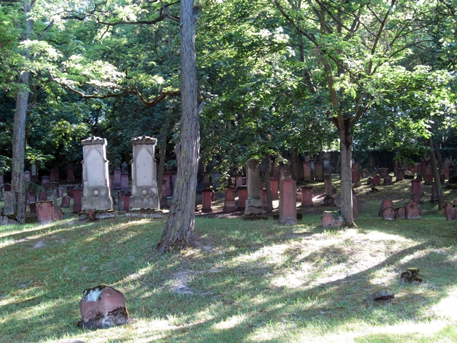 Alter Jüdischer Friedhof Mainz 3